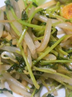 簡単♪豆苗ともやし炒め-レシピのメイン写真