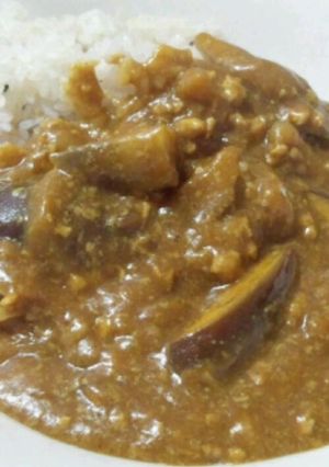 ●高野豆腐でヘルシー豆乳茄子カレー●-レシピのメイン写真