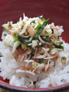 おいしい★しらす薬味ごはん-レシピのメイン写真