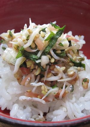 おいしい★しらす薬味ごはん-レシピのメイン写真
