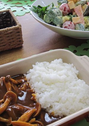 おうちで★煮込みハンバーグランチ-レシピのメイン写真
