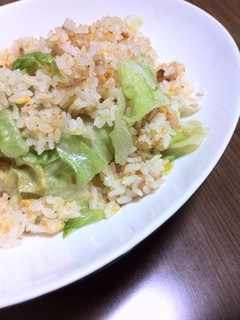 塩麹で味付け簡単ガーリック炒飯-レシピのメイン写真