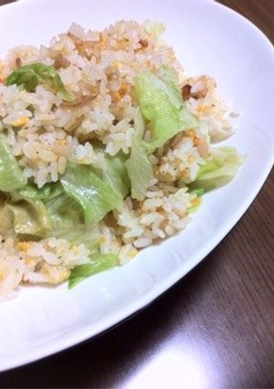 塩麹で味付け簡単ガーリック炒飯-レシピのメイン写真