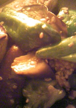 茄子ピーマン甜麺醤豆板醤コチュヂャン炒め-レシピのメイン写真