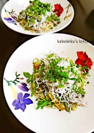 しらすと香味野菜たっぷりのっけサラダ素麺-レシピのメイン写真