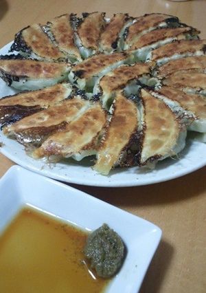 塩麹でジューシー餃子-レシピのメイン写真