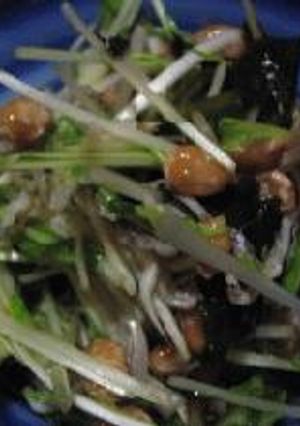 水菜サラダ納豆風味-レシピのメイン写真