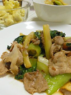 セロリと青梗菜の中華炒め-レシピのメイン写真