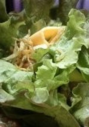 納豆豆腐のレタス乗せ-レシピのメイン写真