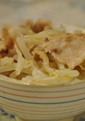 豚もやしどんぶり-レシピのメイン写真