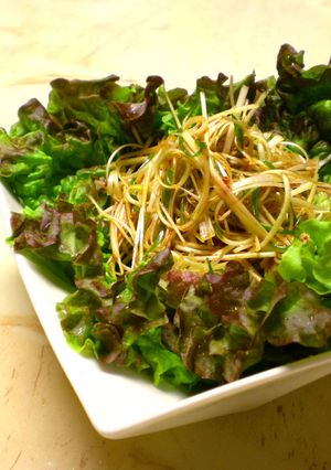 お肉とピッタリ<韓国のネギサラダ>-レシピのメイン写真