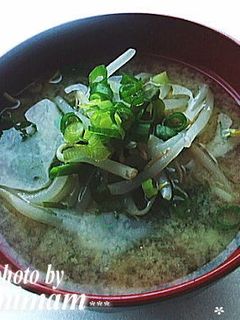 もやし&わかめのお味噌汁-レシピのメイン写真