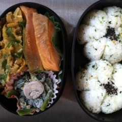 しっとり鮭弁-レシピのメイン写真