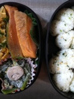しっとり鮭弁-レシピのメイン写真