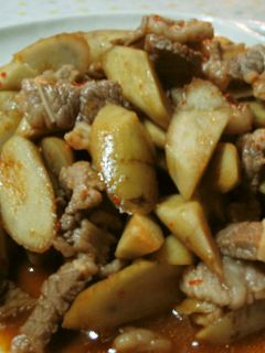 ♪ごぼうが旨~牛肉のピリ辛炒め♪-レシピのメイン写真