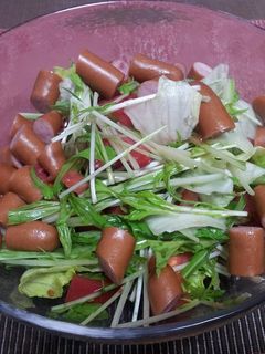水菜とレタスとトマトのサラダ-レシピのメイン写真