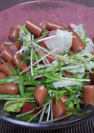 水菜とレタスとトマトのサラダ-レシピのメイン写真
