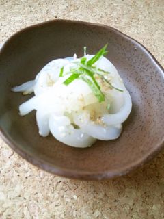 冷酒に合う!イカ刺しの塩麹和え-レシピのメイン写真