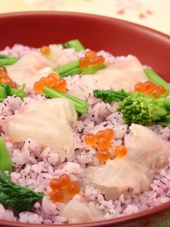 鯛の赤しそ寿司-レシピのメイン写真