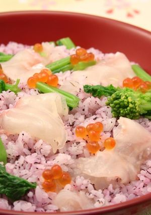 鯛の赤しそ寿司-レシピのメイン写真