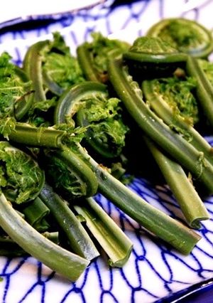 一番おいしい食べ方！こごみのお刺身-レシピのメイン写真