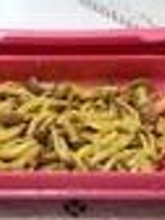 レンジで☆きのこの塩麹カレー蒸し-レシピのメイン写真