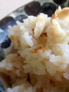 塩麹のかんたん鯛めし-レシピのメイン写真