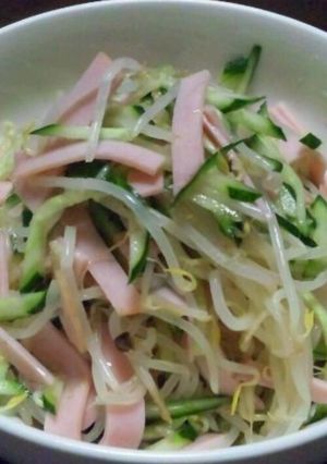 パッパッと簡単！もやしサラダ-レシピのメイン写真
