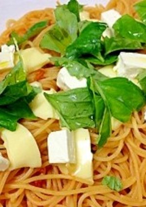 フレッシュバジルのマルガリータ風パスタ-レシピのメイン写真