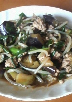 茄子とニラの中華炒め　ひき肉入り-レシピのメイン写真