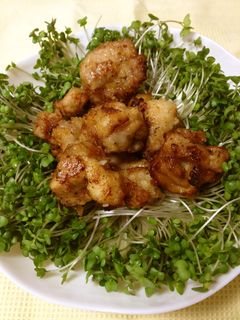 塩麹でから揚げ☆ゆずこしょう味-レシピのメイン写真