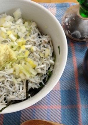 大葉もネギもゴマも混ぜ混ぜシラス丼-レシピのメイン写真