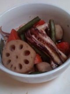 いかと和風野菜の煮物-レシピのメイン写真