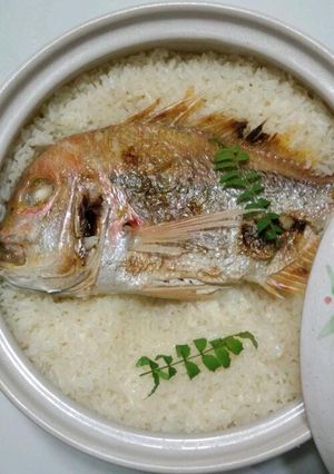 塩麹で鯛めし(土鍋バージョン)-レシピのメイン写真