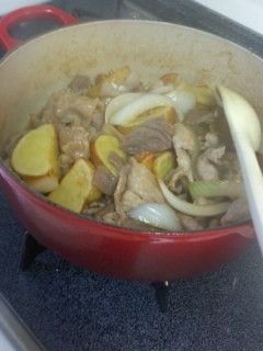 新じゃがと新玉ねぎで!変わり肉じゃが-レシピのメイン写真