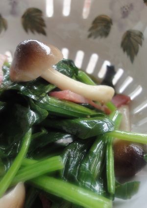 ちょっと元気に..ほうれん草♪-レシピのメイン写真
