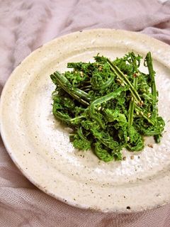 こごみのキムチ-レシピのメイン写真