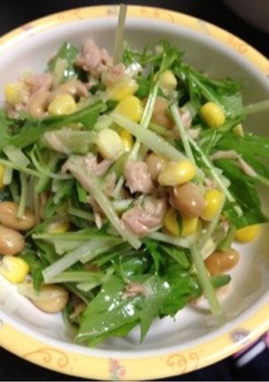 水菜のシャキシャキサラダ★-レシピのメイン写真