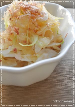 新玉ねぎだけで！サラダ-レシピのメイン写真
