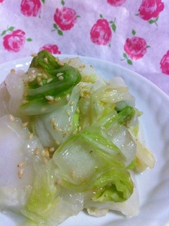超簡単...塩麹で...白菜浅漬け-レシピのメイン写真
