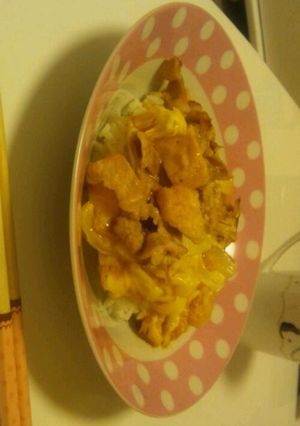 油揚げと豚こま丼-レシピのメイン写真