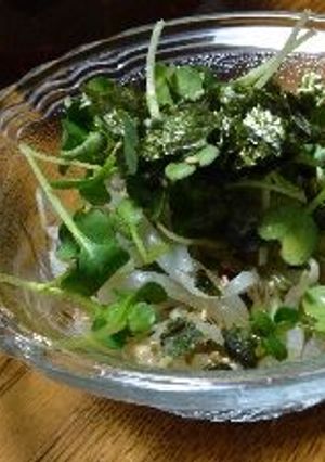 もやしと貝割れ菜のお浸し-レシピのメイン写真