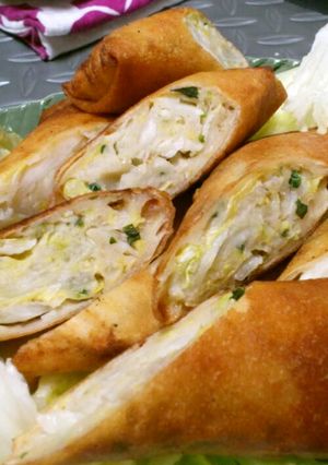 餃子の具ﾘﾒｲｸ 春巻き-レシピのメイン写真
