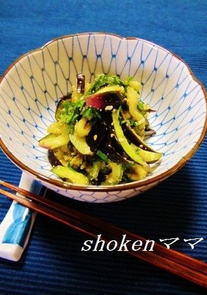 お箸が止まらないチャチャッとナスの漬け物-レシピのメイン写真