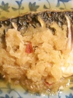 簡単!さっぱりで美味しい!鯖のおろし煮-レシピのメイン写真