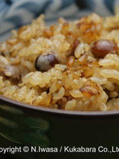 炒り大豆と玄米の炊き込みご飯-レシピのメイン写真