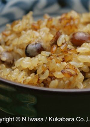 炒り大豆と玄米の炊き込みご飯-レシピのメイン写真