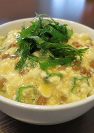 栄養満点!豆腐のネバネバ丼-レシピのメイン写真