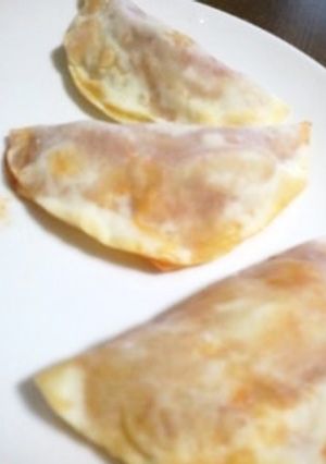 餃子の皮で冷蔵庫片付けピザ-レシピのメイン写真