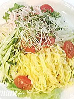 ごまだれde冷やし中華-レシピのメイン写真
